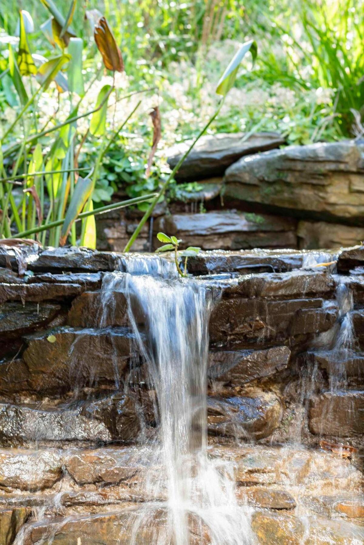 Poyser Estate Forest Glass House Villa Cape Town